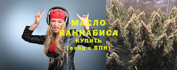 прущая мука Вяземский